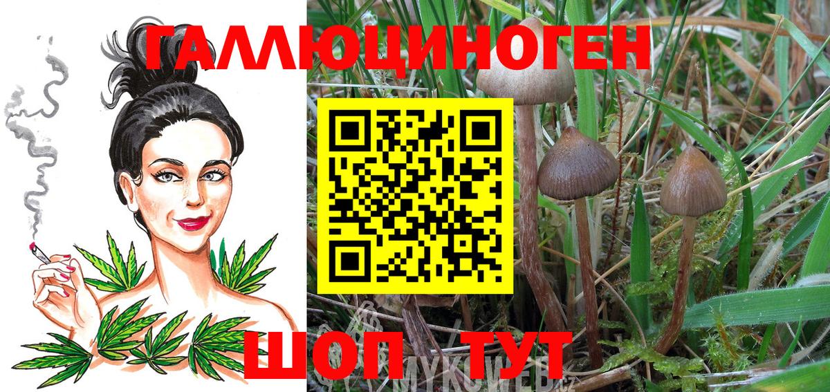 Псилоцибиновые грибы MAGIC MUSHROOMS  Вход с VPN  Галлюциногенные грибы MAGIC MUSHROOMS  Киров 